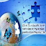 Life is a Puzzle