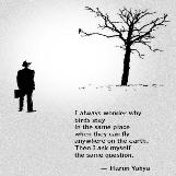 Why Stay When You Can Fly?